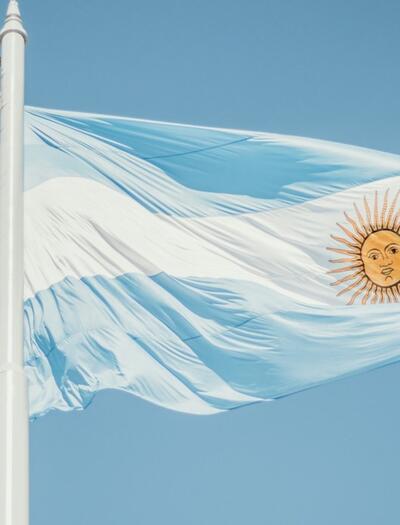 Milei contra el Reprocann en Argentina ordena investigación a usuarios y empresas de cannabis medicinal.