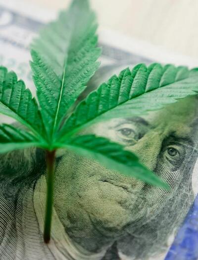 Trump no habilitó los servicios financieros para industria cannábica.