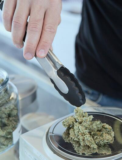 Deutschlands Cannabisimporte um 25% gesteigert