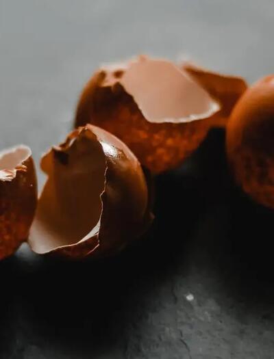 Eierschalen sind ein minerlastoffreicher Cannabis-Dünger