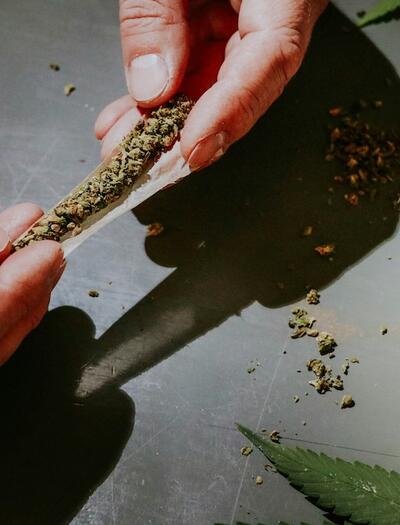 El uso ocasional de marihuana como factor de protección en Canadá tras legalización.