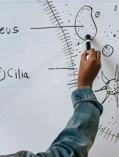 Cannabis y genética: ¿hay cambios en el ADN?