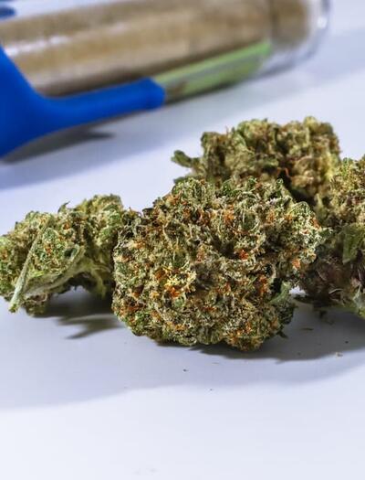 Explore the relationship between cannabis and mood. See how THC and CBD interact with the brain to support emotional balance and when to seek professional help.