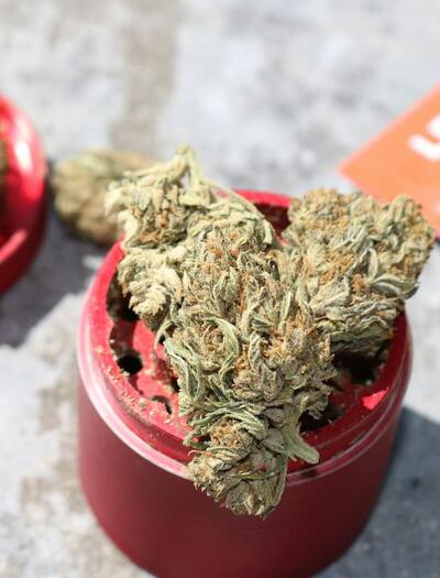 Extreme heat and THC can create a compound strain on your cardiovascular system. Here’s what happens under the hood and how to stay safe in high temps.