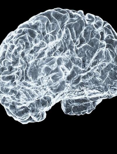 Does cannabis use cause structural brain damage? Explore what modern neuroscience says about THC, CB1 receptor downregulation, and neural connectivity.