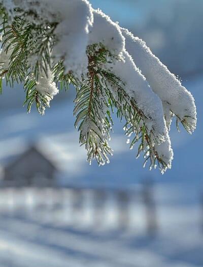 winter cleaning of your indoor and outdoor cannabis garden