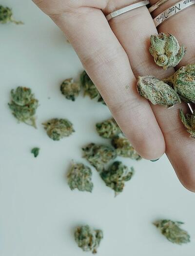 Propiedades de las cannaflavinas de la marihuana.
