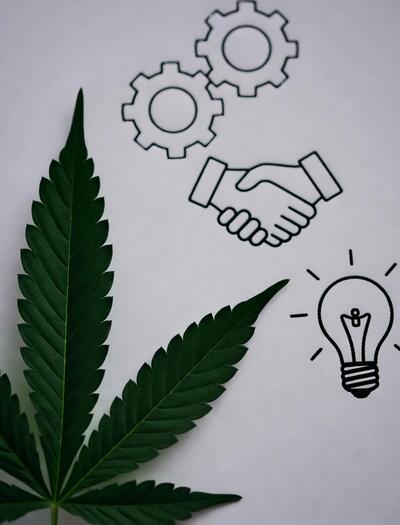 Innovación, blockchain y ecosistema industrial del cáñamo en Extremadura 2025.