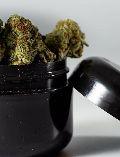 CBD y antibióticos: avance científico argentino contra superbacterias en 2026.