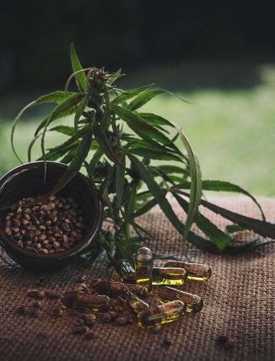 CBD for Arthritis Pain: What Seniors Should Know Before Trying It