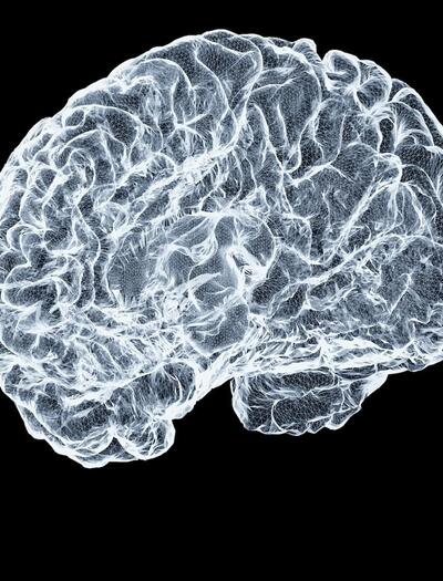 Representación visual de un cerebro iluminado simbolizando la neuroprotección y el efecto del CBD contra la inflamación.