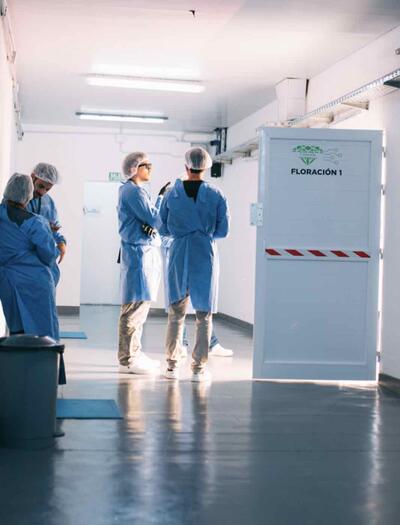 Argentina marca un precedente en la industria del cannabis medicinal con la primera exportación de fitocannabinoides desde Chaco a Nueva Zelanda. Foto: Cannafis.