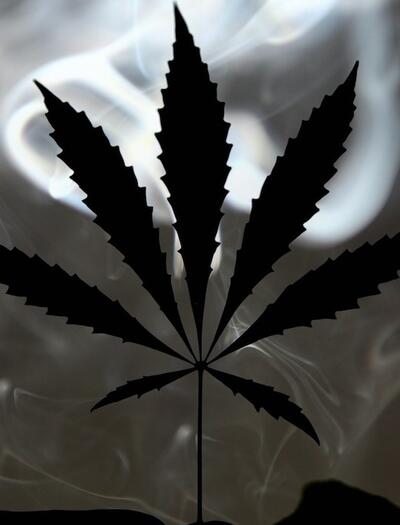Endocannabinoides: ¿Por qué el cannabis tiene efecto?