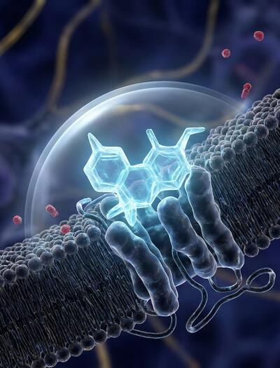 Representación 3D de alta precisión de una molécula de THCV (azul) actuando como un antagonista neutro en el receptor CB1, bloqueando señales externas sin alterar la actividad basal de la célula, según el estudio de Roger Pertwee.