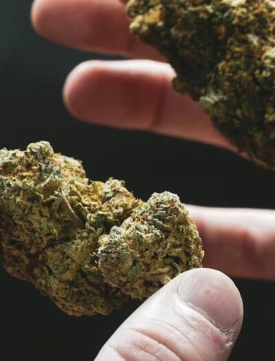 The FDA has sent a major cannabis enforcement policy for White House review. Discover what this means for the future of hemp-derived products in 2026.