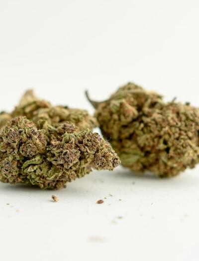 Flores de CBD