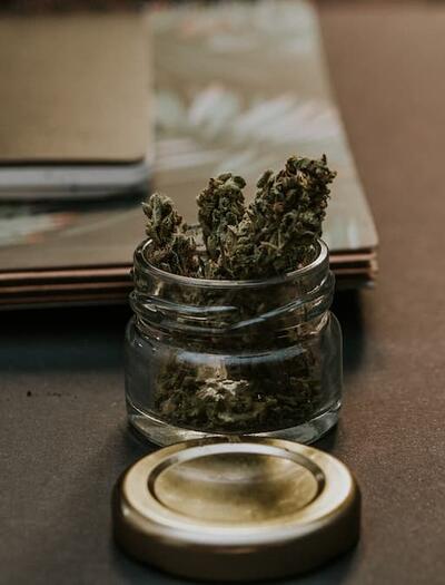 Master your cannabis garden by starting a grow diary. Learn how to track nutrients, environment, and plant health to achieve consistent, high-quality harvests.