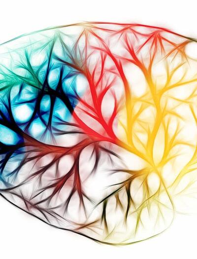 Ever wondered why weed gets you high? Explore how THC interacts with your body’s endocannabinoid system, CB1 receptors, and why everyone feels it differently. 