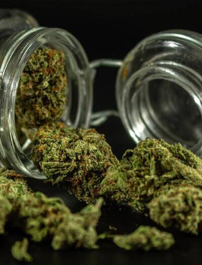 how to store your cannabis buds the right way?