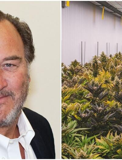 Jim Belushi cannabis farming journey.