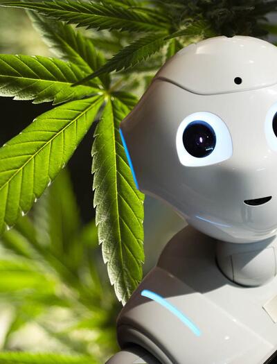 L’intelligenza artificiale può prevedere l’impatto della cannabis sulla salute mentale?