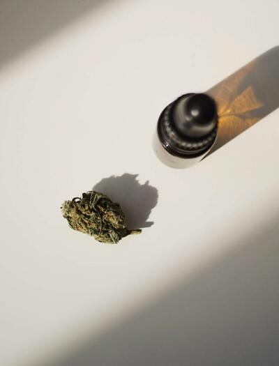 An investigation by The Denver Gazette and ProPublica highlights why regulatory speed, botanical standardization, and safety matter in legal cannabis. 