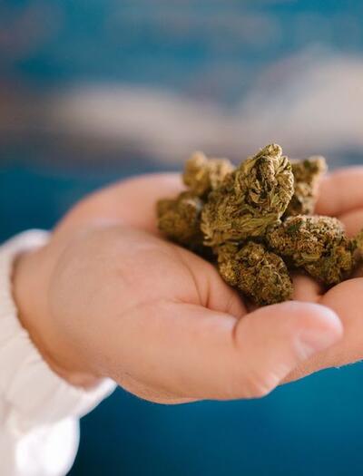 NYC: del comercio despersonalizado al cannabis local con agricultores.