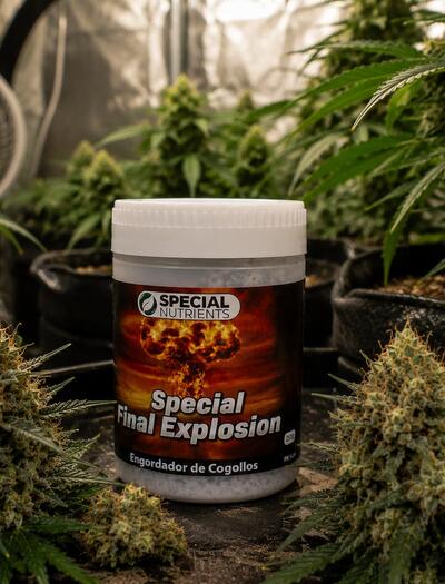 Special Final Explosion de Special Nutrients.