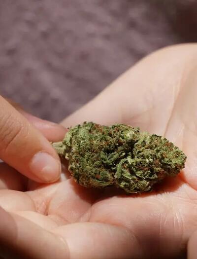 Synthetische Cannabinoide wurden Ende des 20. Jahrhunderts  entwickelt, um das Endocannabinoidsystem zu untersuchen.
