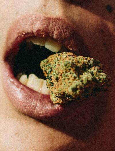 ¿THC o CBD para comer mejor? 