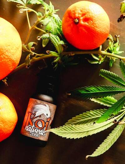 Cannabis leaves and buds arranged with fresh oranges and a bottle of terpene extract, illustrating citrus terpenes in cannabis