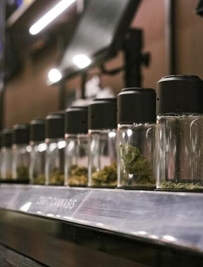 Discover the top 10 cannabis strains for 2026. From the THC-heavy Think Tank to flavor-packed Blueberry Caviar, stay ahead of the hottest US weed trends. 