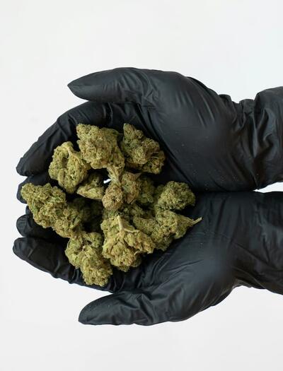 State audits reveal an Arizona cannabis testing lab continued violating regulatory rules after an $88.5K fine, prompting boycotts from certain retailers.