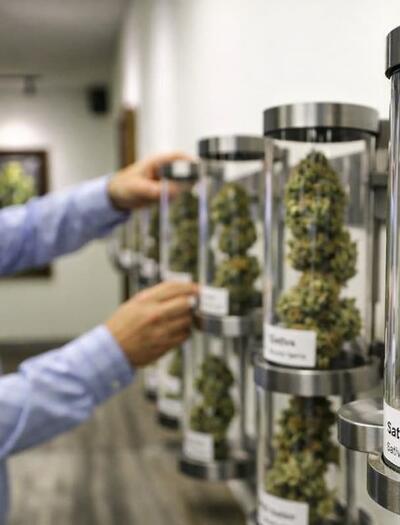 Michigan’s cannabis market is entering its first contraction. Learn why licenses are declining, how price compression hit profits, and changes since 2024.