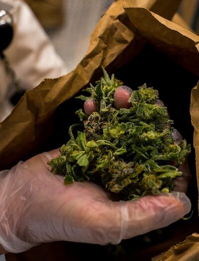 Are your weed buds drying too fast or smelling like hay? Learn the optimal temperature and humidity for drying cannabis to preserve terpenes and quality.