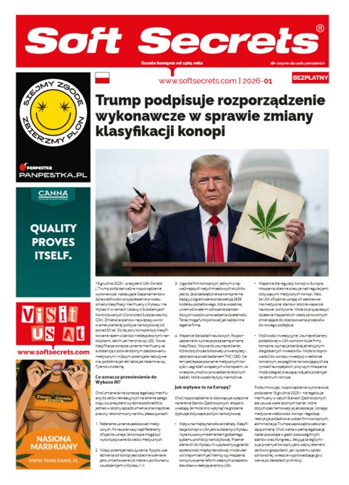 Soft Secrets Polish 26-01