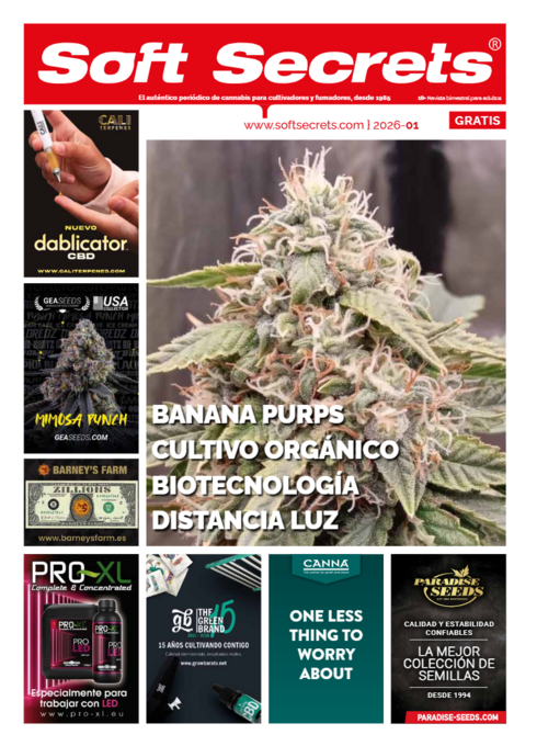 Soft Secrets Spanish 26-01