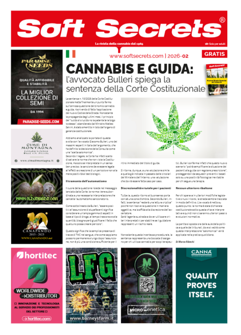 Soft Secrets IT 26-02