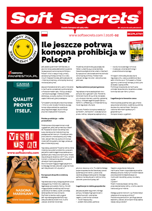 Soft Secrets PL 26-02