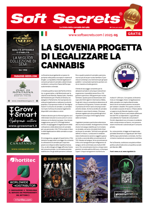 Soft Secrets Italy 25-05