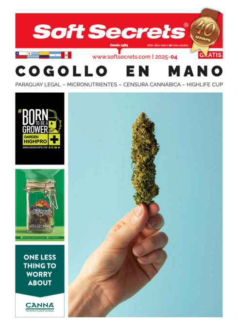 Soft Secrets LATAM  25-04