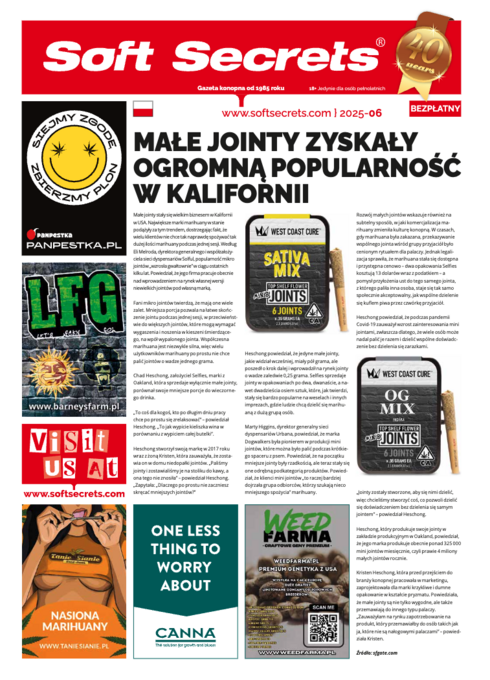 Soft Secrets Polish 25-06