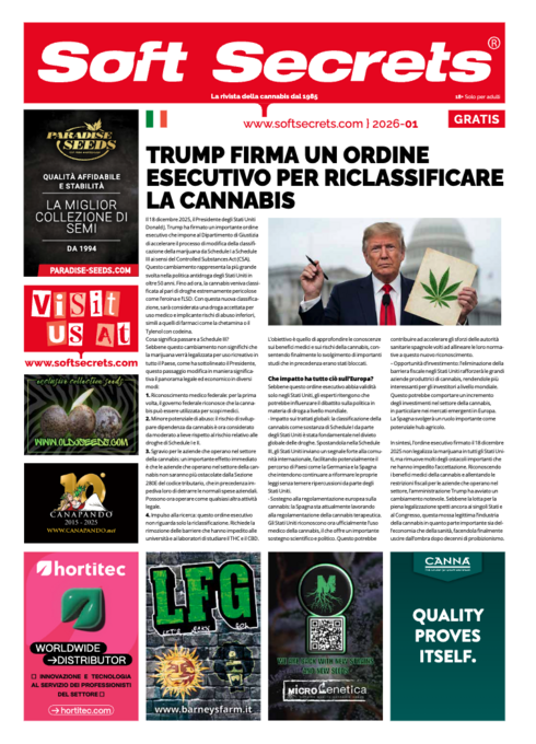 Soft Secrets Italy 26-01