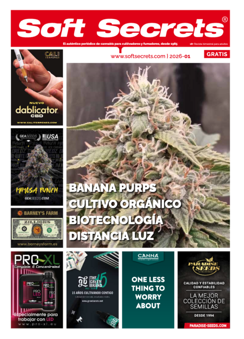 Soft Secrets Spain 26-01