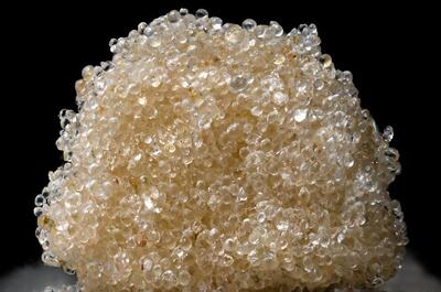 Solvent-Free Electrostatic Trichome Separation