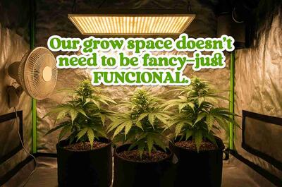 Cannabis grow space