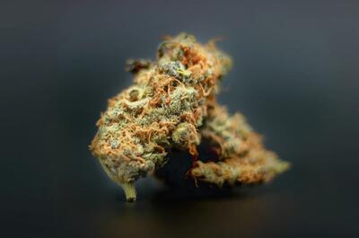 Close-up macro shot of cannabis buds with visible trichomes and orange hairs against a dark, blurred background.
