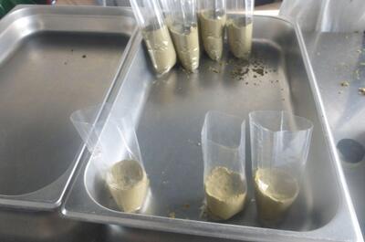 Comment fabriquer du hasch CBD ?