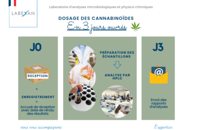 "Labexan: Expertise Chanvre Qualitative"