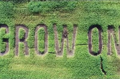 Grow-on
